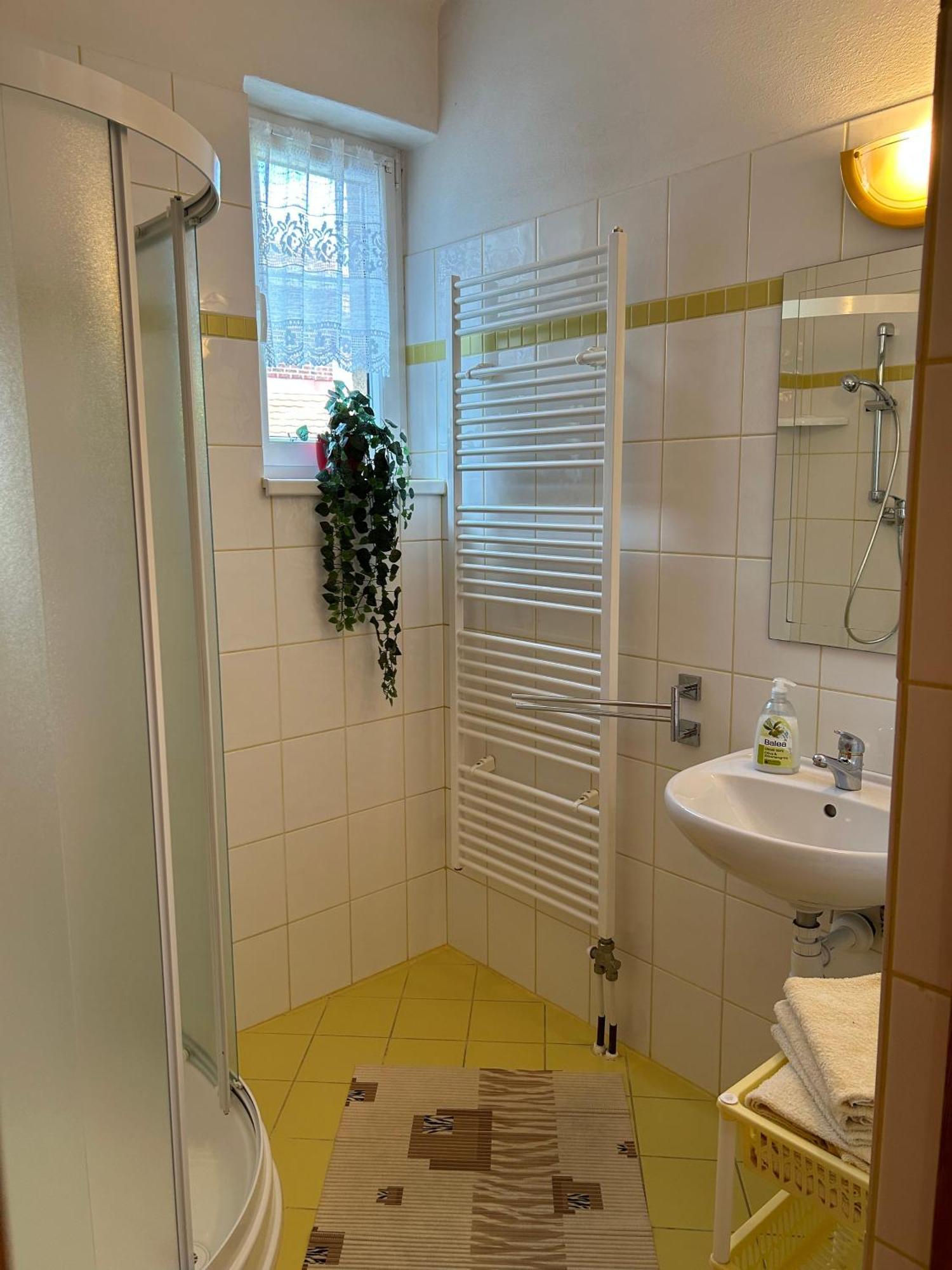 Privát Lenka Hotel Prószék Kültér fotó
